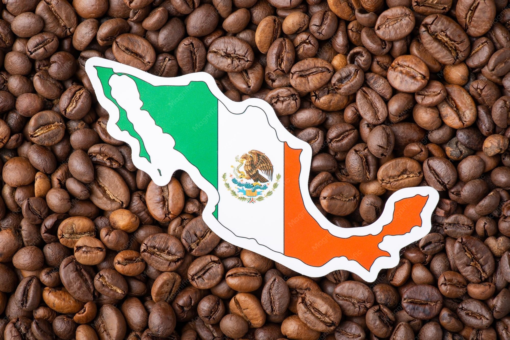 Organic Cold Brew Coffee 1.5liter Dispenser Container